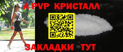 спиды Сланцы