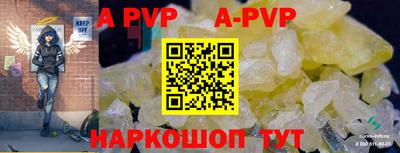спиды Сланцы